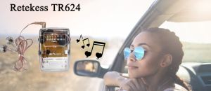 Retekess TR624 Portable Radio  doloremque