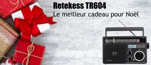 Retekess TR618 Portable Radio doloremque