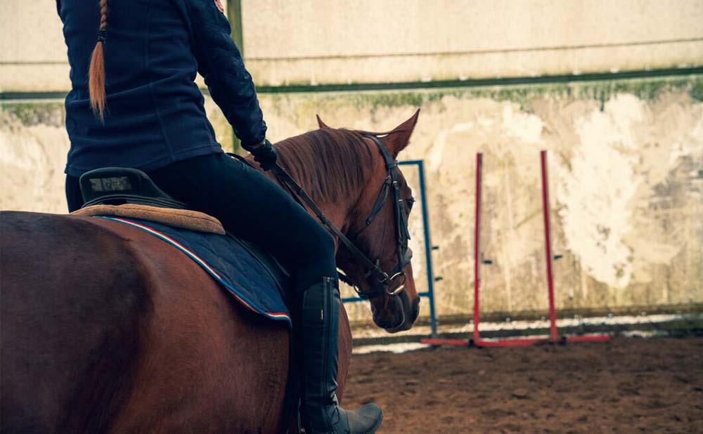 Intercom Bidirectionnel pour équitation et l'entraînement