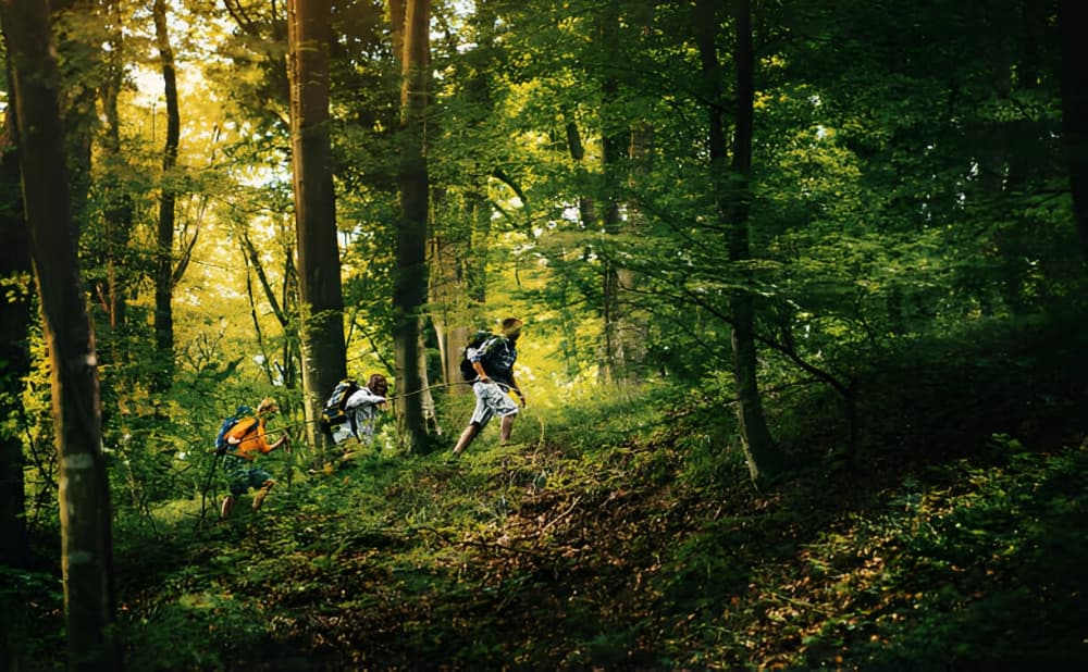 Nouveaux partenaires pour l'exploration forestière - Matériel pour Visite Guidée