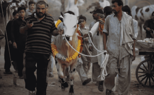 Le Voyage du Hajj et les Systèmes de Navigation T130P et T131P : la Technologie Guide le Chemin de la Foi doloremque