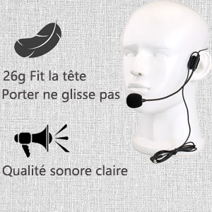 Microphone de tête