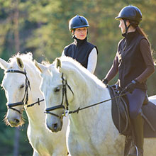 Formation d'équitation